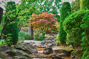 Naklejka premium Gorgeous sakura in a beautiful tourist place in a Japanese garden