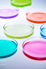 colorful and various solutions in petri dishes, laboratory experiment	