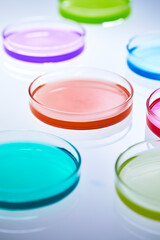 colorful and various solutions in petri dishes, laboratory experiment