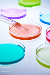 colorful and various solutions in petri dishes, laboratory experiment
