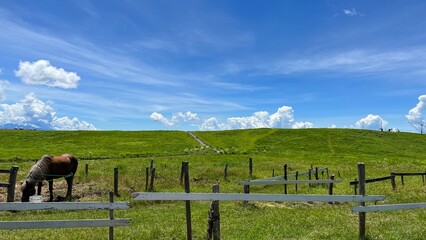 霧ヶ峰とグライダー