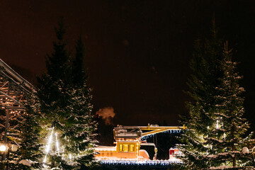 Christmas decoration with garland in winter night.