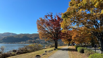諏訪湖の紅葉