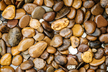 Background. The texture of beige yellow wet round stones of the sea coast.