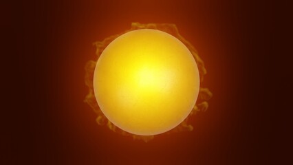 Yellow sun with solar flares and bright glow effect.
3d render illustration.