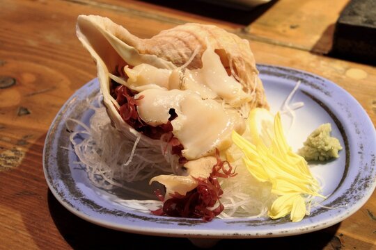 つぶ貝の刺身
