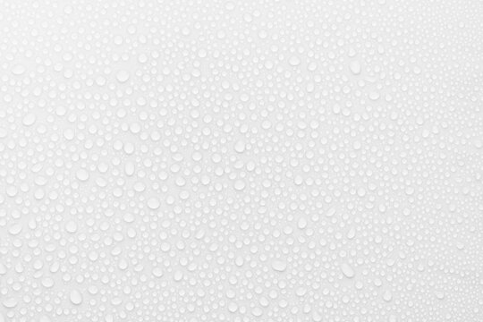Water drops on white background as soft light matte pattern with tiny droplets in elegant modern minimal style, top view.