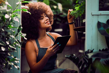 Tablet, plants and black woman, small business owner and greenhouse environment in retail flowers...