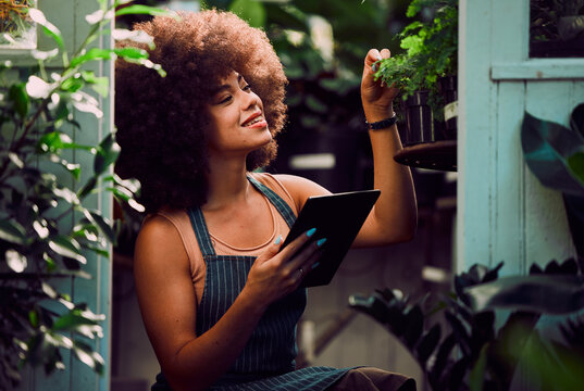 Tablet, plants and black woman, small business owner and greenhouse environment in retail flowers shop, store and eco friendly market. Happy gardening worker, digital planning and sustainable growth