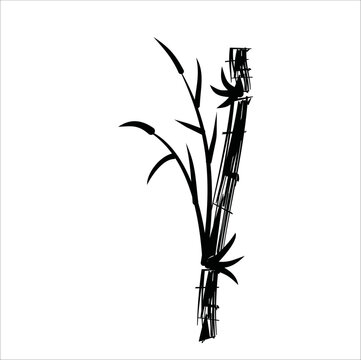 bamboo ink painting vector design illustration line art