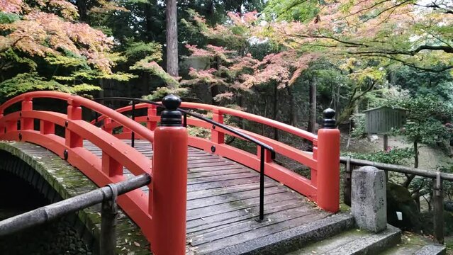 雨の日の紅葉と古い赤い橋　スロー撮影　近づく