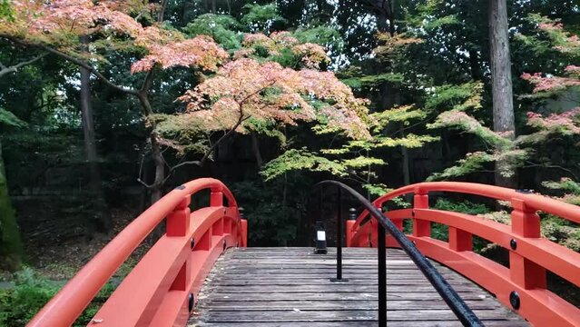 雨の日の紅葉と古い赤い橋　スロー撮影