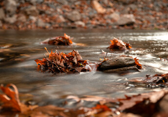 Yigitler Stream offers a wonderful autumn view Bayindir, Izmir