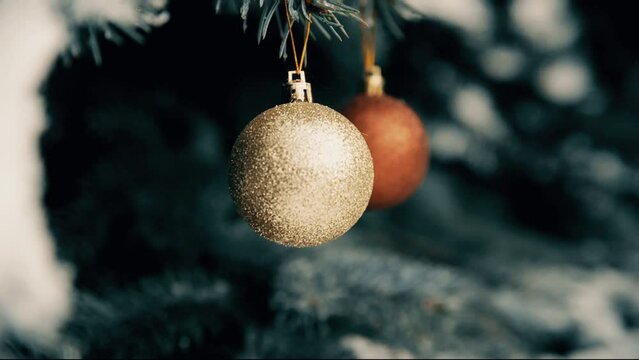 A golden ball hanging on the branches of a snow-covered fir
