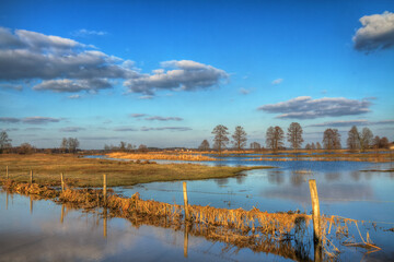 Landscape sunset or sundown river Narew Poland Europe spring time meadows under water