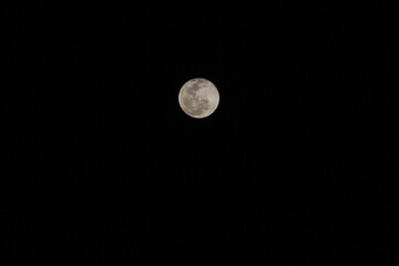 moon in the night