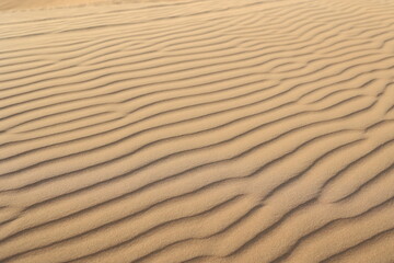 Sand ripples in the  Dubai Desert