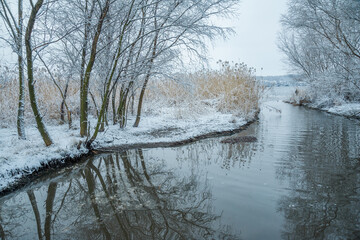 Snow-covered winter trees are reflected in the water of the river