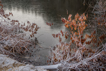 Snow-covered winter trees on the river bank.