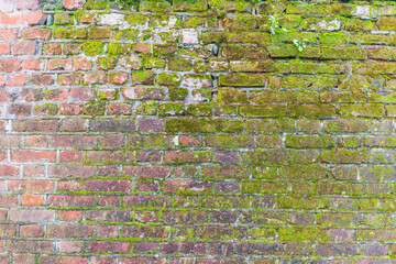 Texture of a wall made of old bricks