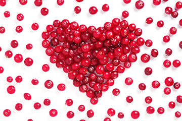 Red forest cranberry