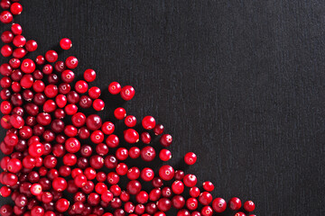 Ripe fresh cranberry