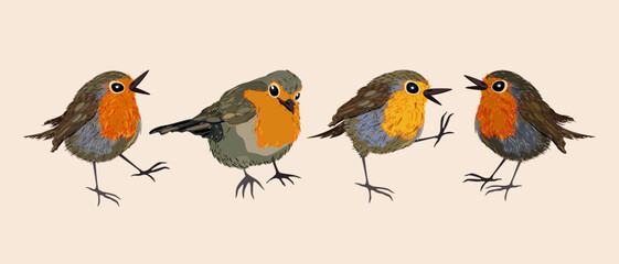 Vector composition with four little colorful birds isolated on light background.