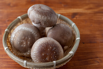 美味しそうな椎茸