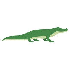 Wildlife Animal Crocodile Illustration