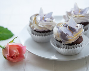 Cupcakes with butterfly decorations