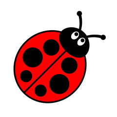 Ladybug or ladybird vector graphic illustration, isolated. Cute simple flat design of black and red lady beetle.