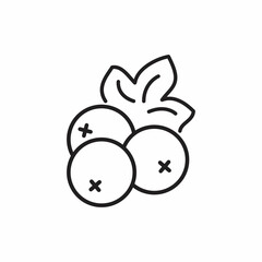 Currant berry line icon. linear style sign for mobile concept and web design. Currant with leaf outline icon