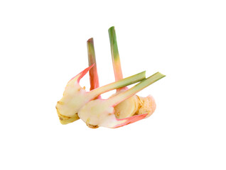slices  galangal  isolated ontransparent png