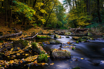 Herbstzauber an einer Flusslandschaft in der Lausitz- Das Löbauer Wasser 18