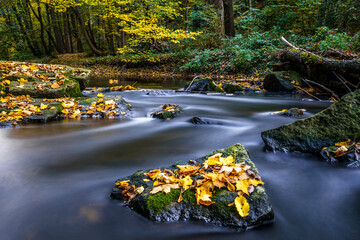 Herbstzauber an einer Flusslandschaft in der Lausitz- Das Löbauer Wasser 19