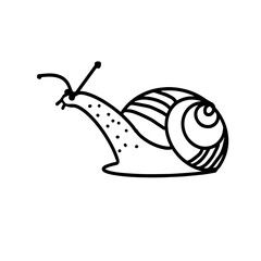 Snail. Icon. Black and white vector illustration