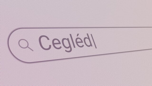 Search Bar Cegled 
Close Up Single Line Typing Text Box Layout Web Database Browser Engine Concept
