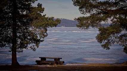 A beach picture from Sweden where you have pine trees around the barbecue area