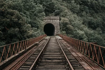  Rusty train tracks lead into a dark tunnel in a desaturated landscape © SerFF79