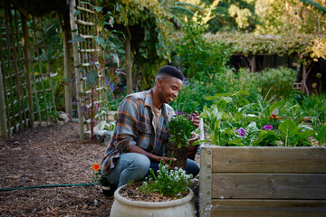 Young black man in checked shirt crouching while holding flowers by flowerbed in plant nursery