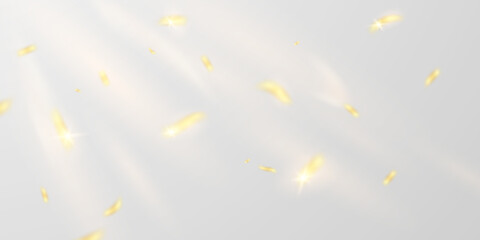Obraz na płótnie Canvas Celebrate background with golden confetti light effect for carnival vector illustration