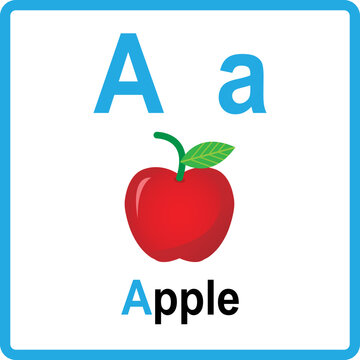Alphabet A is for Apple vector image. alphabet flash card.