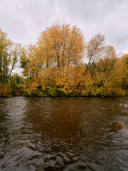 Autumn trees by the banks of Lenaelva River, Toten, Norway.