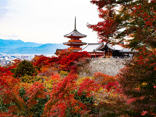 清水寺側から紅葉越しの京都市街