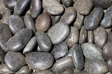 Black pebbles as background, closeup