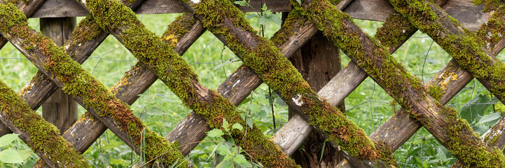Wooden garden fence covered with moss. Panoramic image