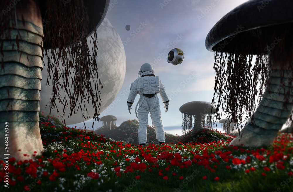 Canvas Prints astronaut on alien planet