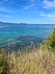 Azure sea, sea coastline with evergreen trees, blue seascape background