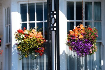 Pretty flowers in hanging baskets on the front of a building along the promenade, Sidmouth, Devon, UK, Europe
