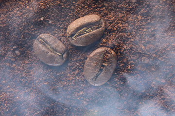 Three coffee beans lie on ground coffee close-up.